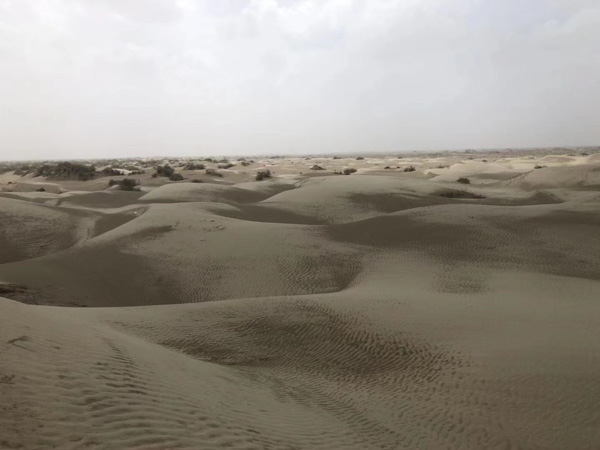 婚前買的房子離婚后房子增值部分算誰的？上海市婚姻糾紛律師來回答