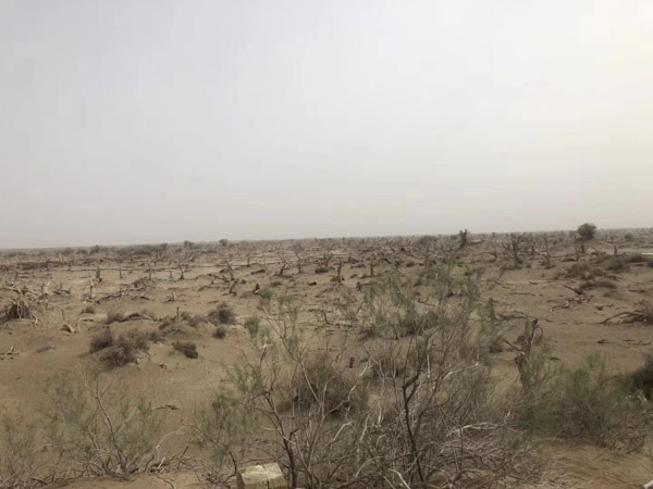 上海離婚咨詢網(wǎng)來講講反家暴法有哪些需要注意的亮點