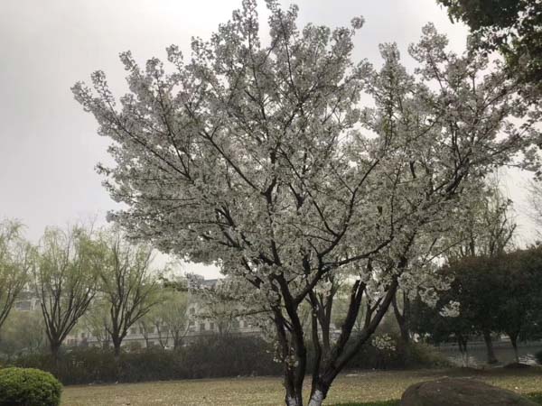 婚前財產公證公證費怎么算?上海松江婚姻律師告訴你