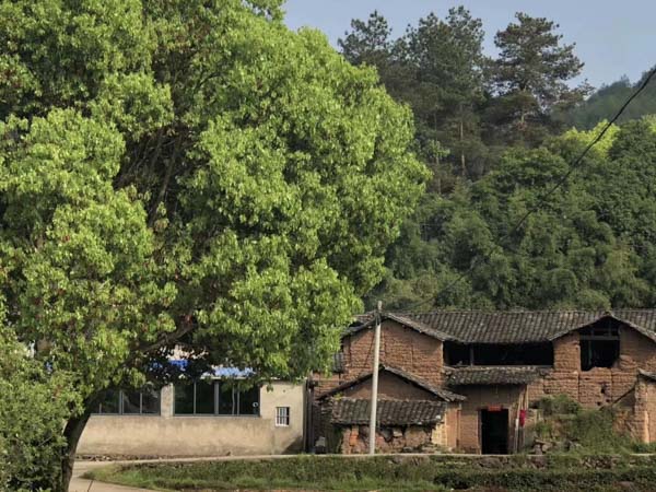 協議離婚怎么分財產？90%的人都不知道，趕緊來看看普陀婚姻律師的解讀