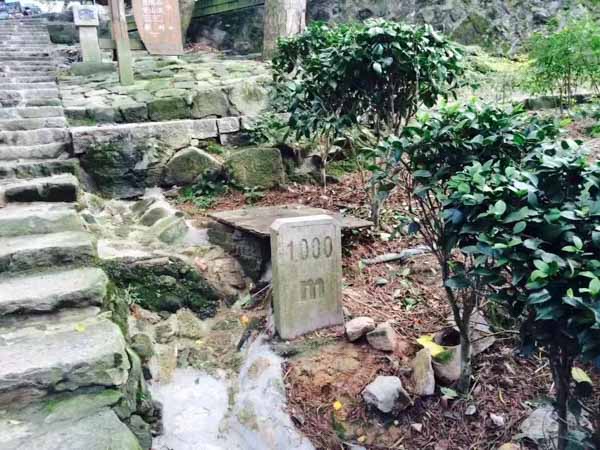 閔行婚姻律師講解協議離婚和訴訟離婚流程，一篇文章為我們省去不少麻煩事