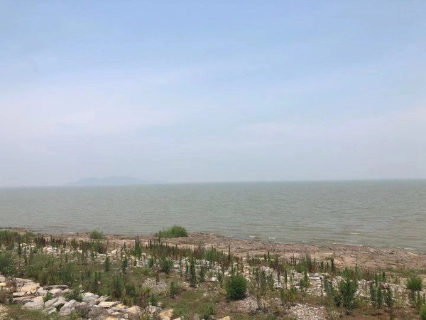 上海離婚協議律師告訴你工薪階級需不需要簽訂婚姻財產協議？