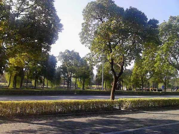 離婚該不該爭奪孩子撫養(yǎng)權(quán)?上海撫養(yǎng)權(quán)律師告訴你