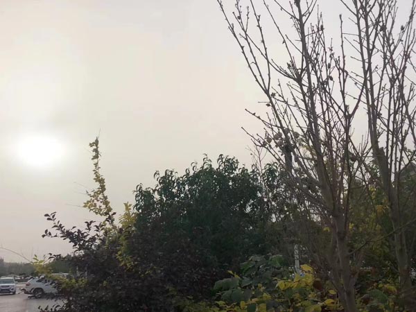 法律樂園:青浦婚姻律師為您解答妻子擅自墮胎丈夫是否有權請求賠償