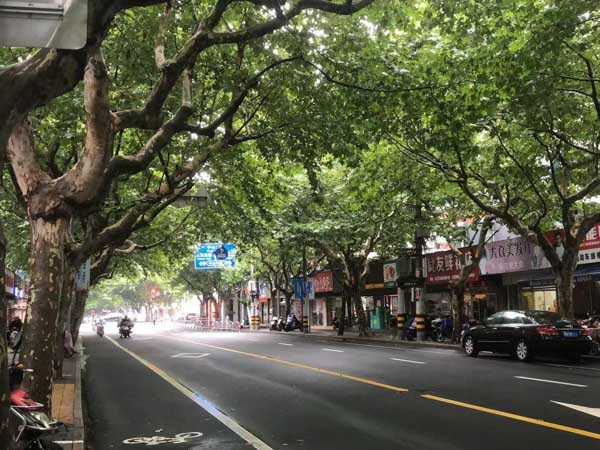 分居半年可以起訴離婚嗎？上海離婚訴訟律師告訴你