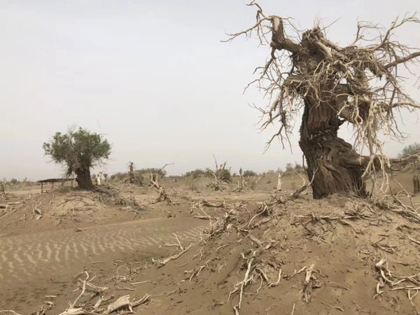 上海離婚律師為您解答哪些情形可作為債務人個人債務的考量因素