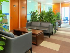 上海撫養(yǎng)權(quán)律師