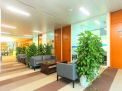 我老公出軌了，我不知道該怎么辦找上海十大離婚律師